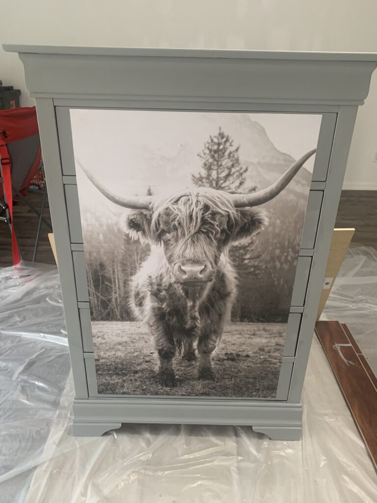 How the cow poster looks applied to the chest of drawers.